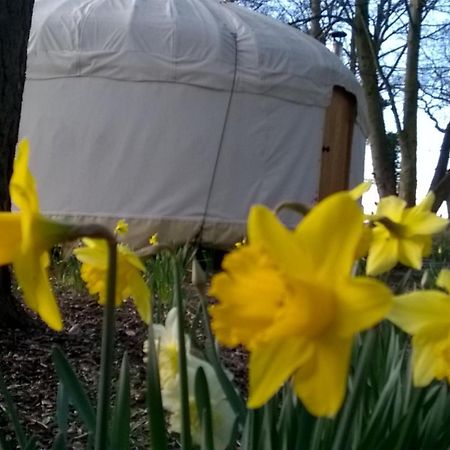 Gingerbread Cottage Yurts Dereham Buitenkant foto