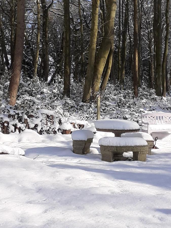 Gingerbread Cottage Yurts Dereham Buitenkant foto
