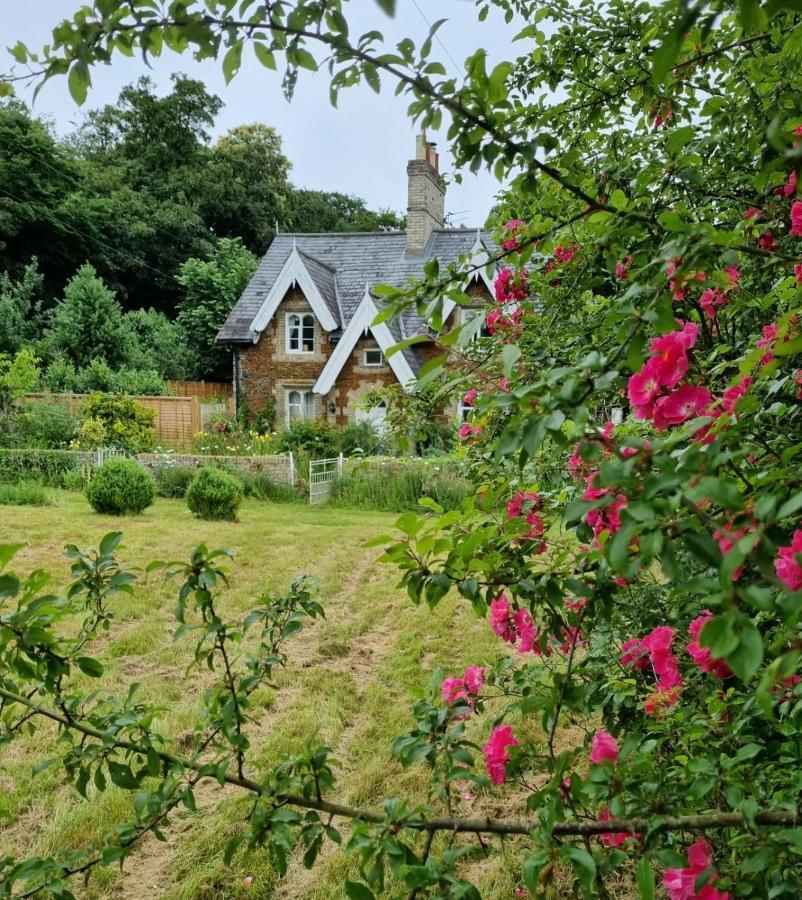 Gingerbread Cottage Yurts Dereham Buitenkant foto