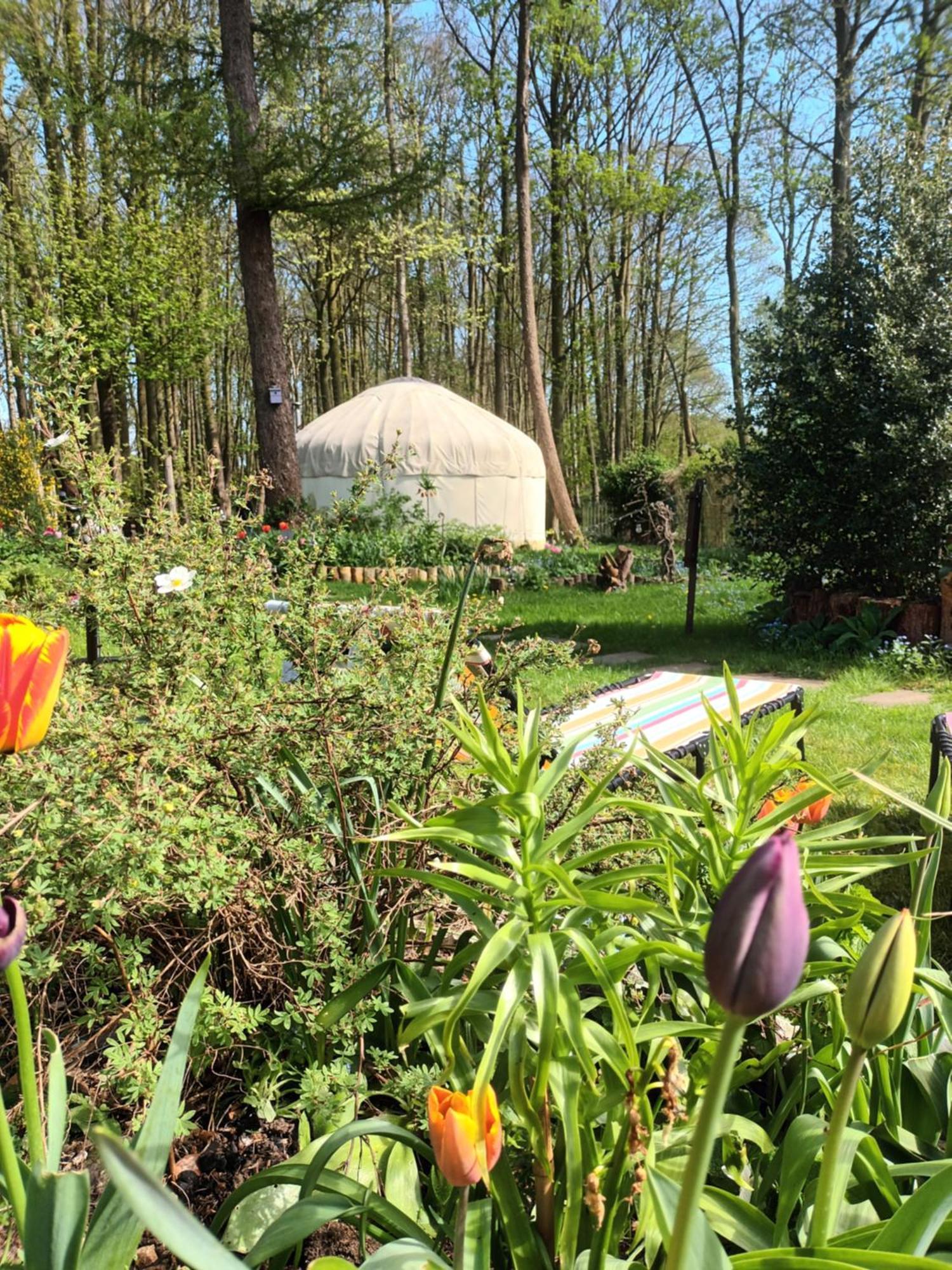Gingerbread Cottage Yurts Dereham Buitenkant foto
