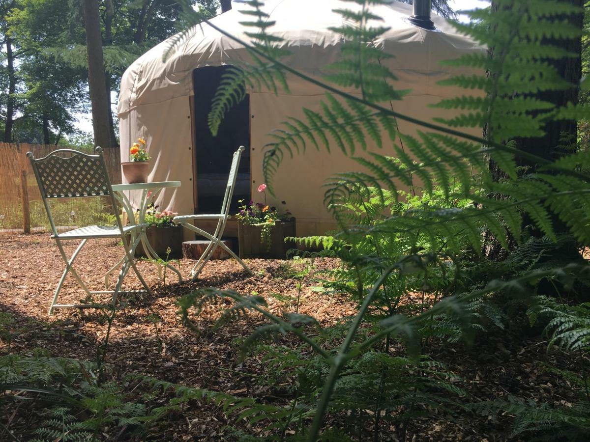 Gingerbread Cottage Yurts Dereham Buitenkant foto