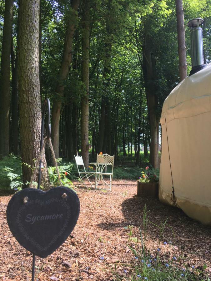 Gingerbread Cottage Yurts Dereham Buitenkant foto