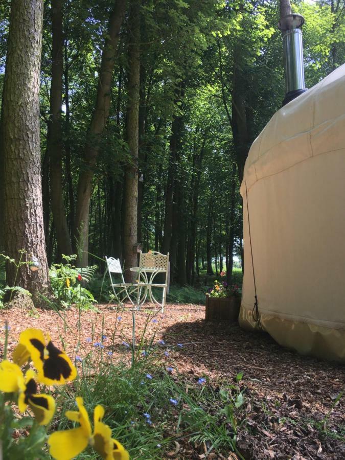 Gingerbread Cottage Yurts Dereham Buitenkant foto